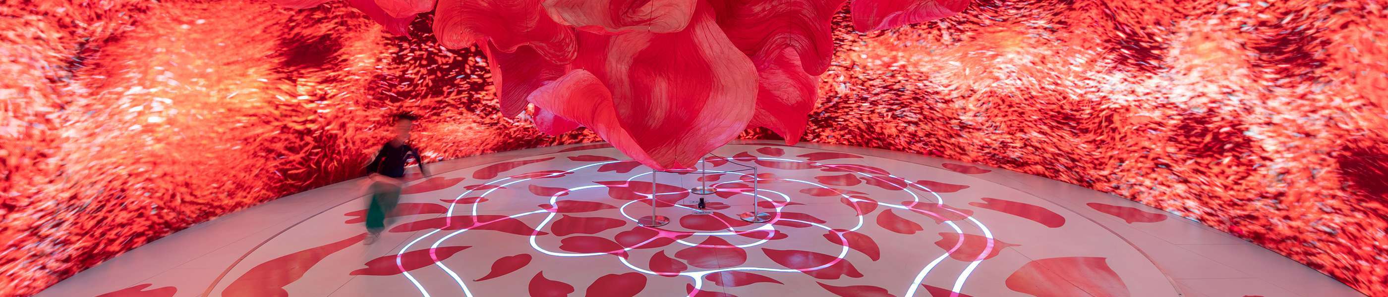 Galaxy Flowers header image